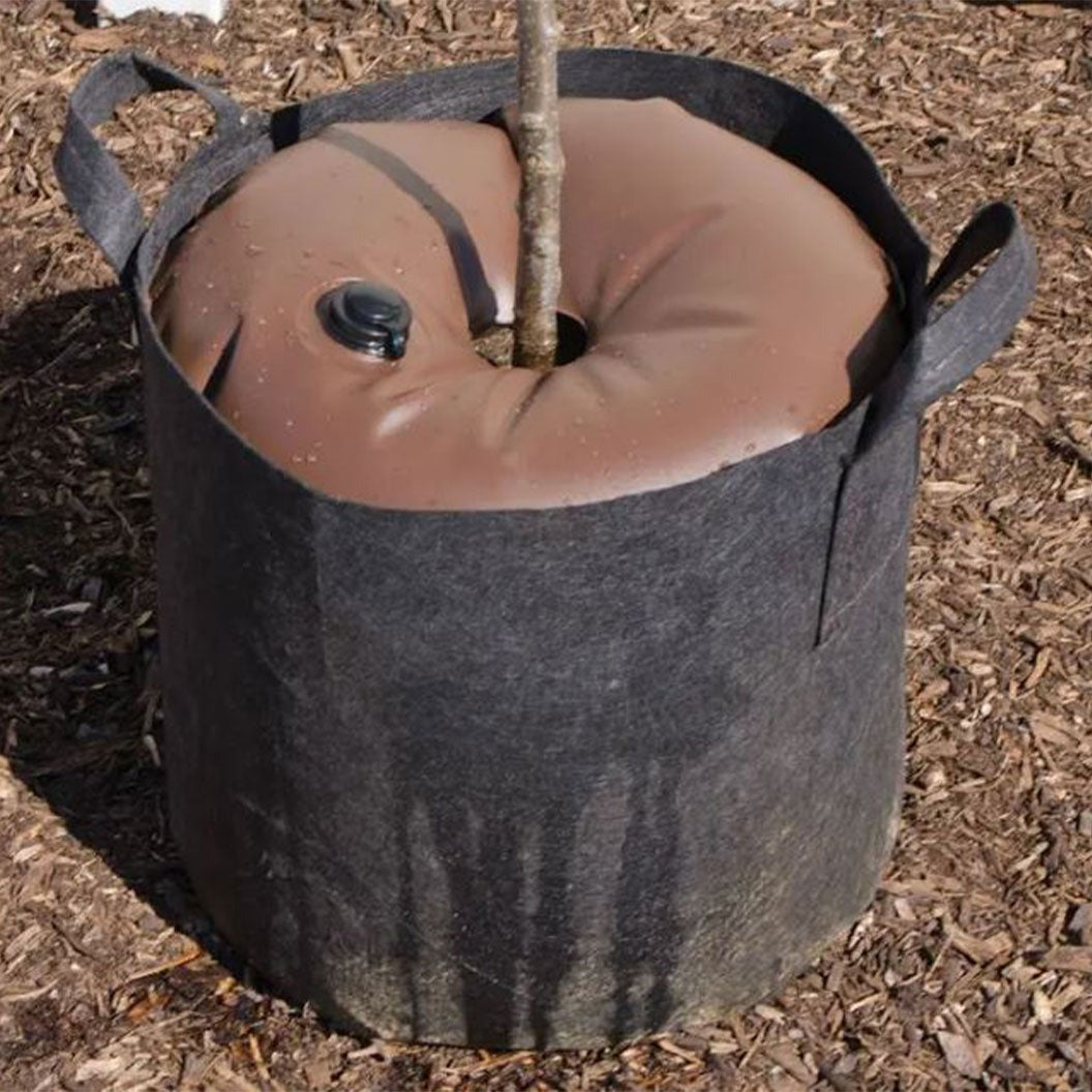 ArborRainTM Slow Release Watering Ring