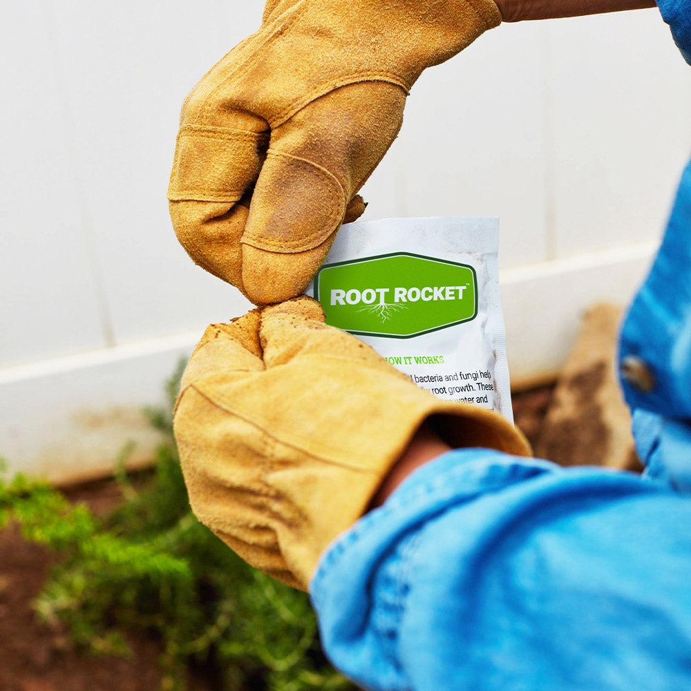 Root Rocket® Citrus Fertilizer