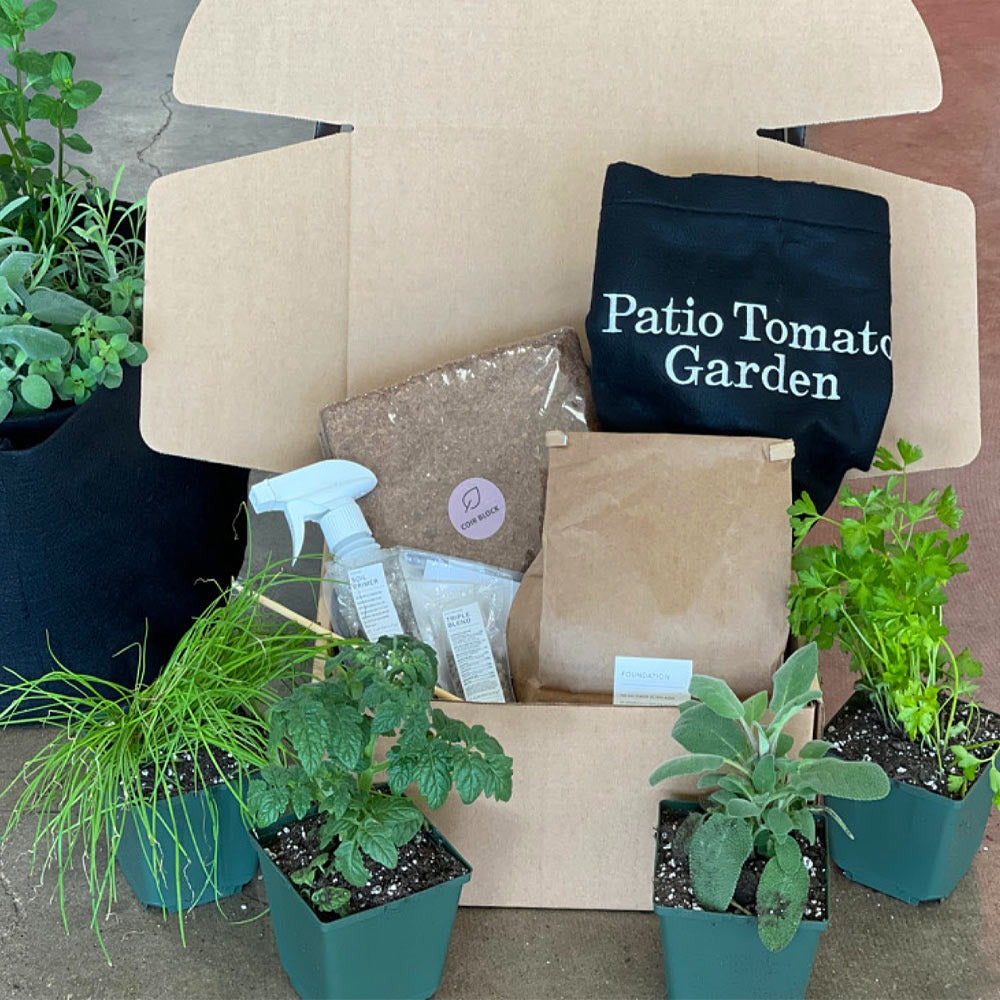 Gardenuity® Patio Tomato Garden