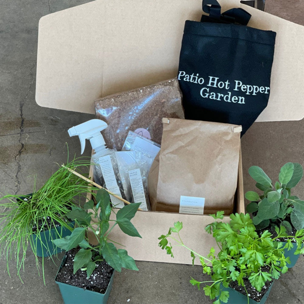 Gardenuity® Patio Hot Pepper Garden