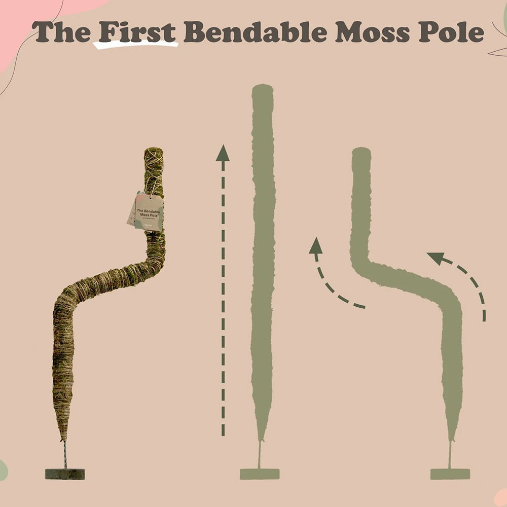 Mossify The Original Bendable Moss PoleTM