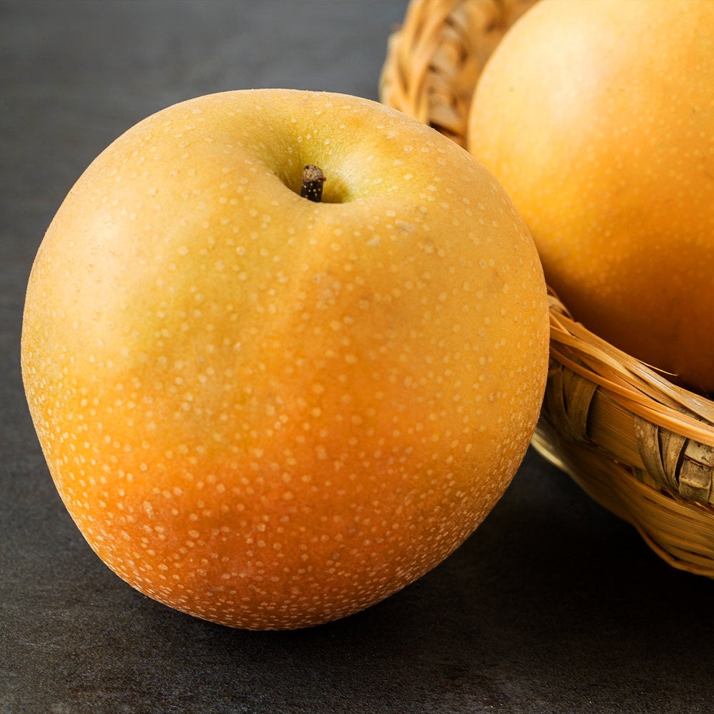 Hosui Asian Pear Tree