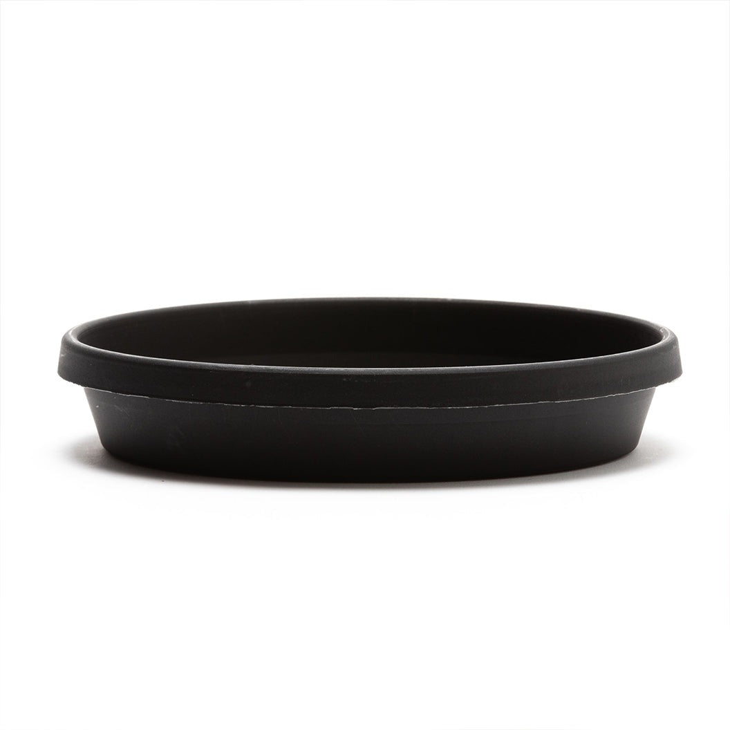 Bloem Terra Saucer in Black