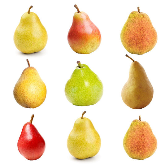 Pear Trees