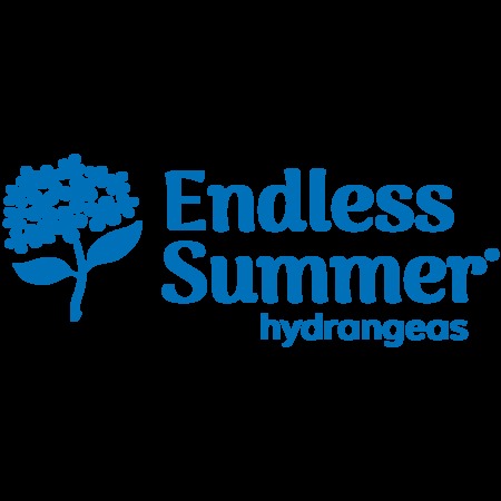Endless Summer® The Original Reblooming Hydrangea