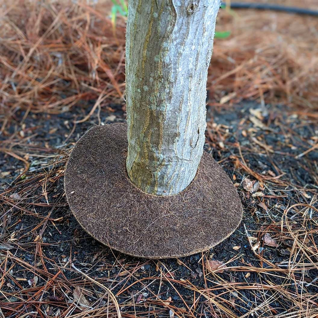Coco Fiber Tree Protector Ring