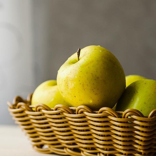 Honeygold Apple Tree