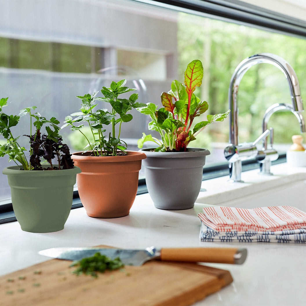 Bloem Ariana Self-Watering Planter in Living Green