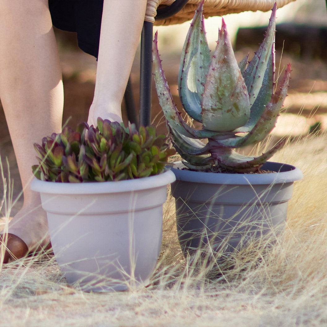 Bloem Ariana Self-Watering Planter in Pebble Stone