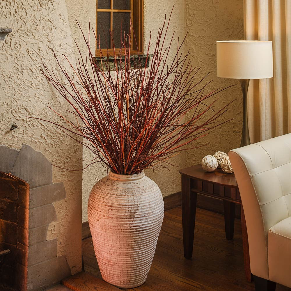 Proven Winners® Arctic Fire® Red Twig Dogwood Shrub