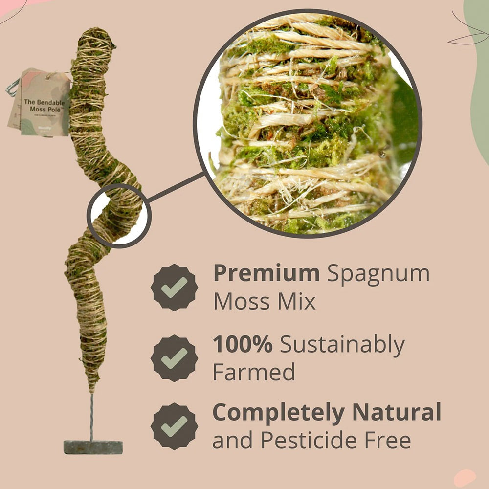 Mossify The Original Bendable Moss PoleTM