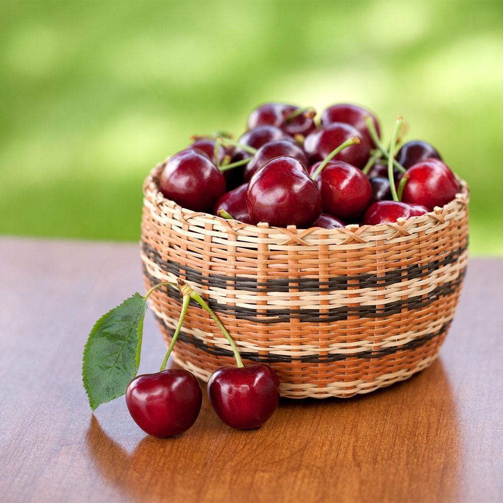 ChelanTM Cherry Tree