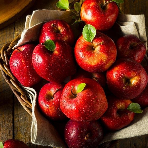 Red Delicious Apple Tree