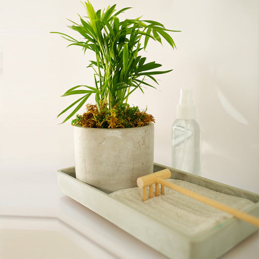 Desktop Zen Garden Kit