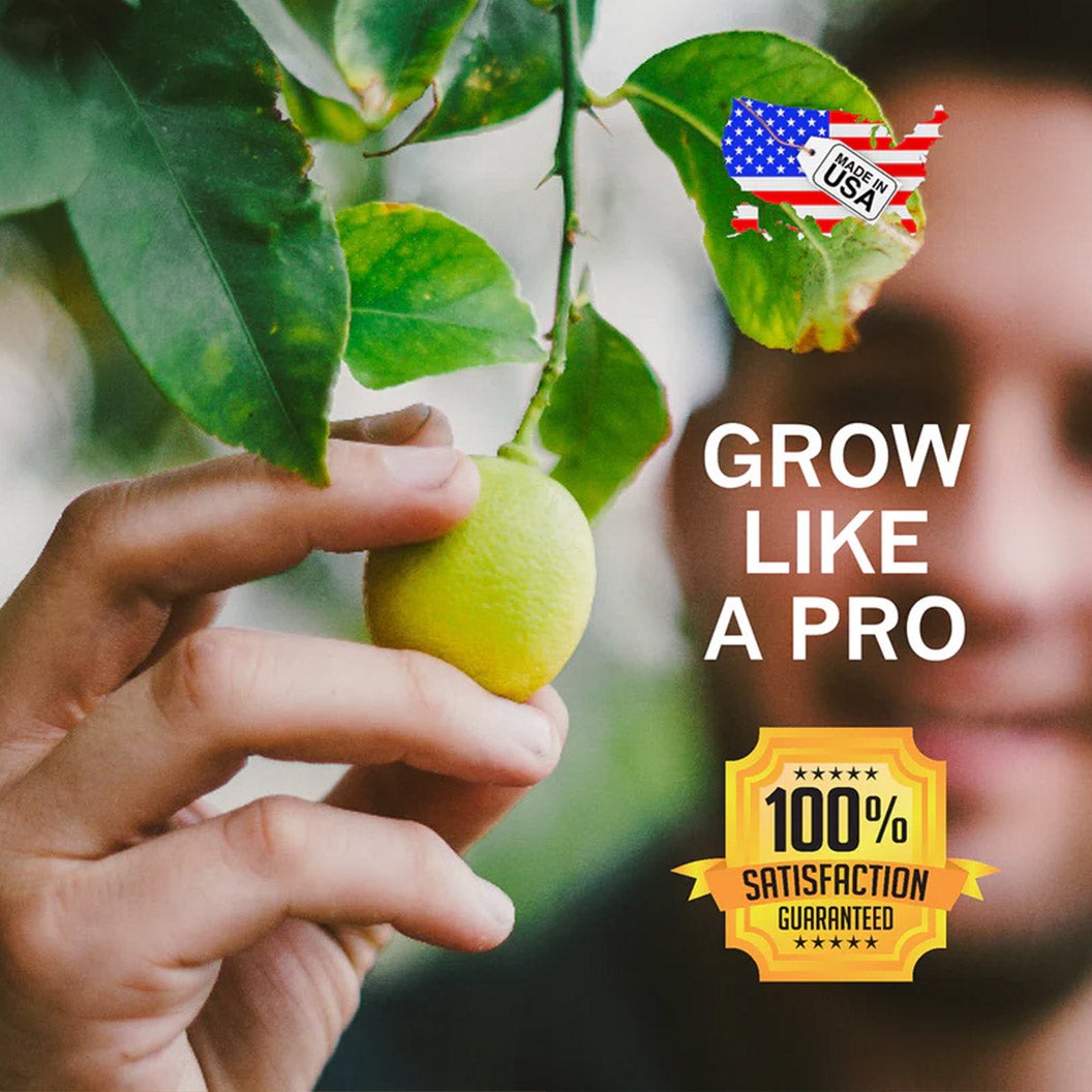 Growscripts House & Patio Plant Care Kit