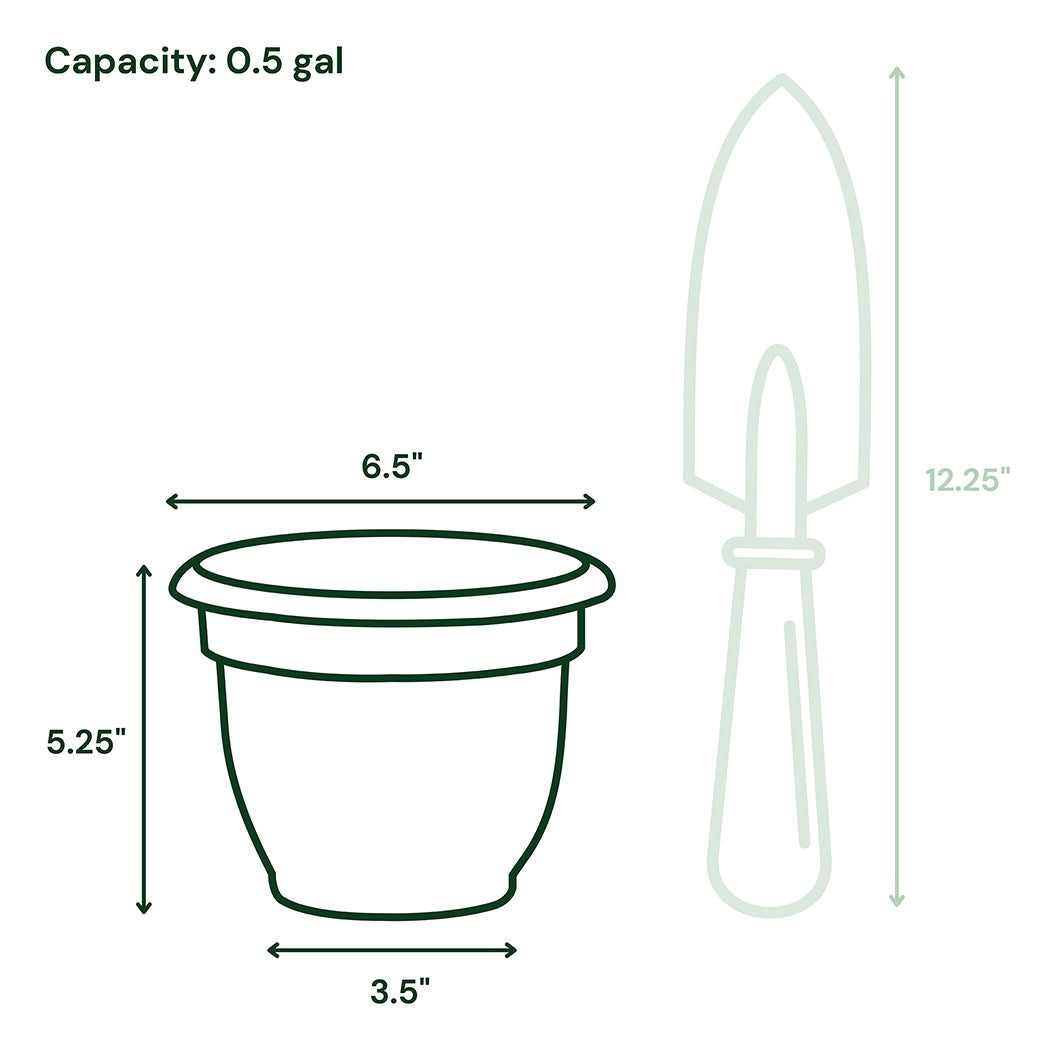 Bloem Ariana Self-Watering Planter in Living Green