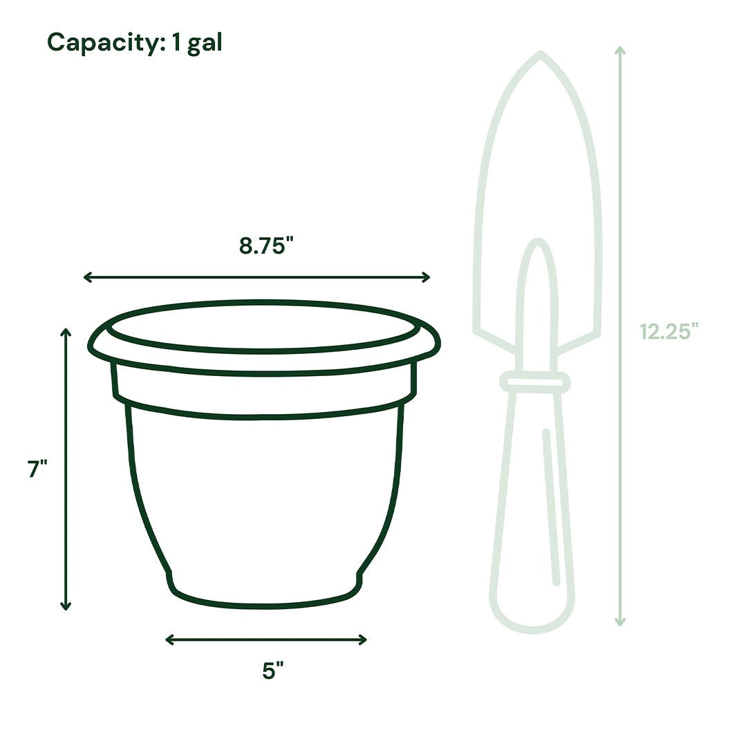 Bloem Ariana Self-Watering Planter in Living Green