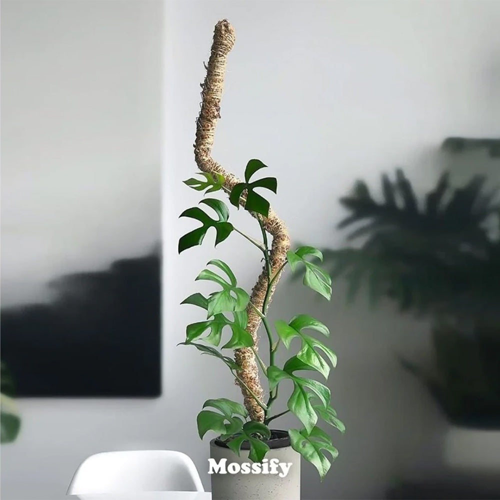 Mossify The Original Bendable Moss PoleTM