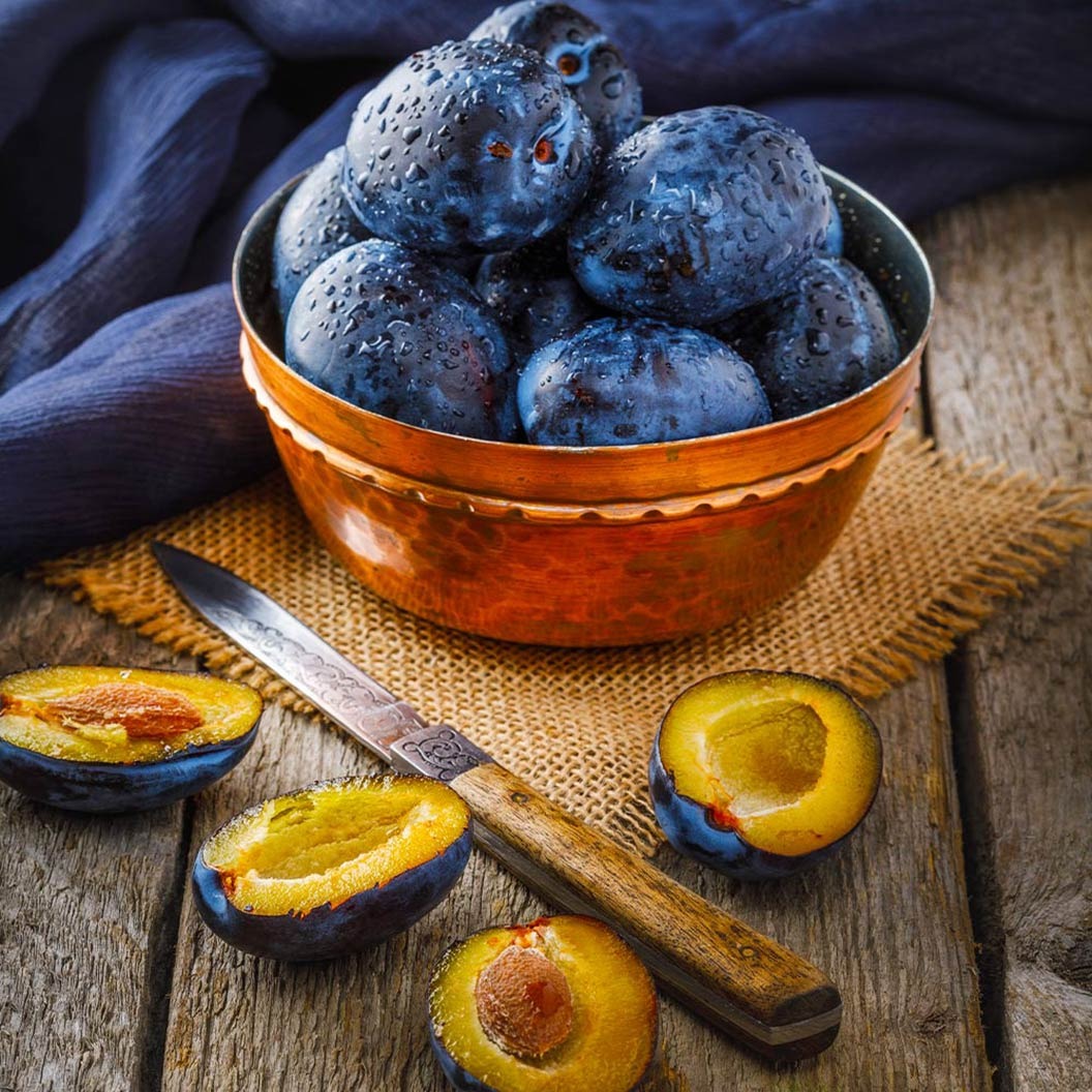 Italian Plum Tree