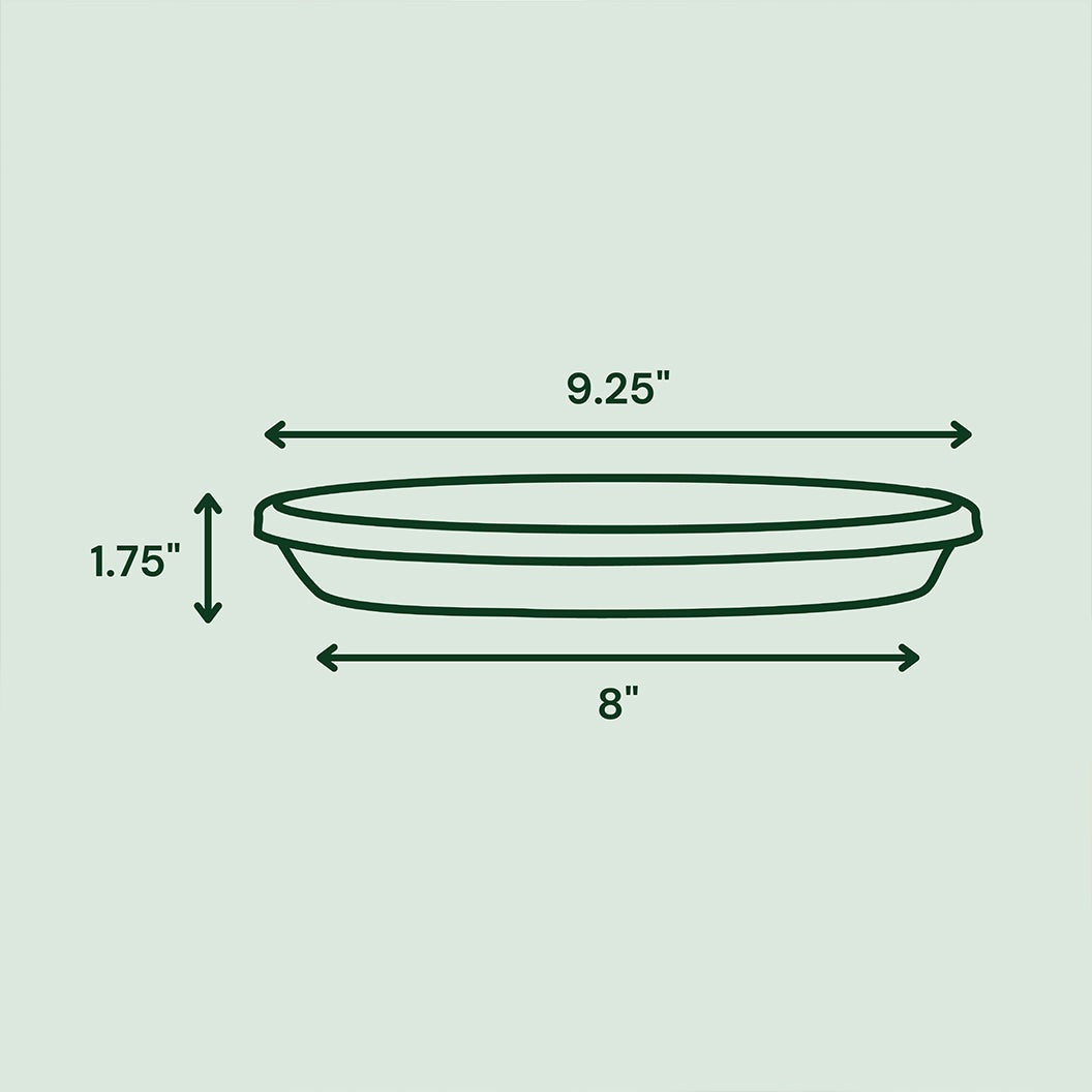 Bloem Terra Saucer in Black