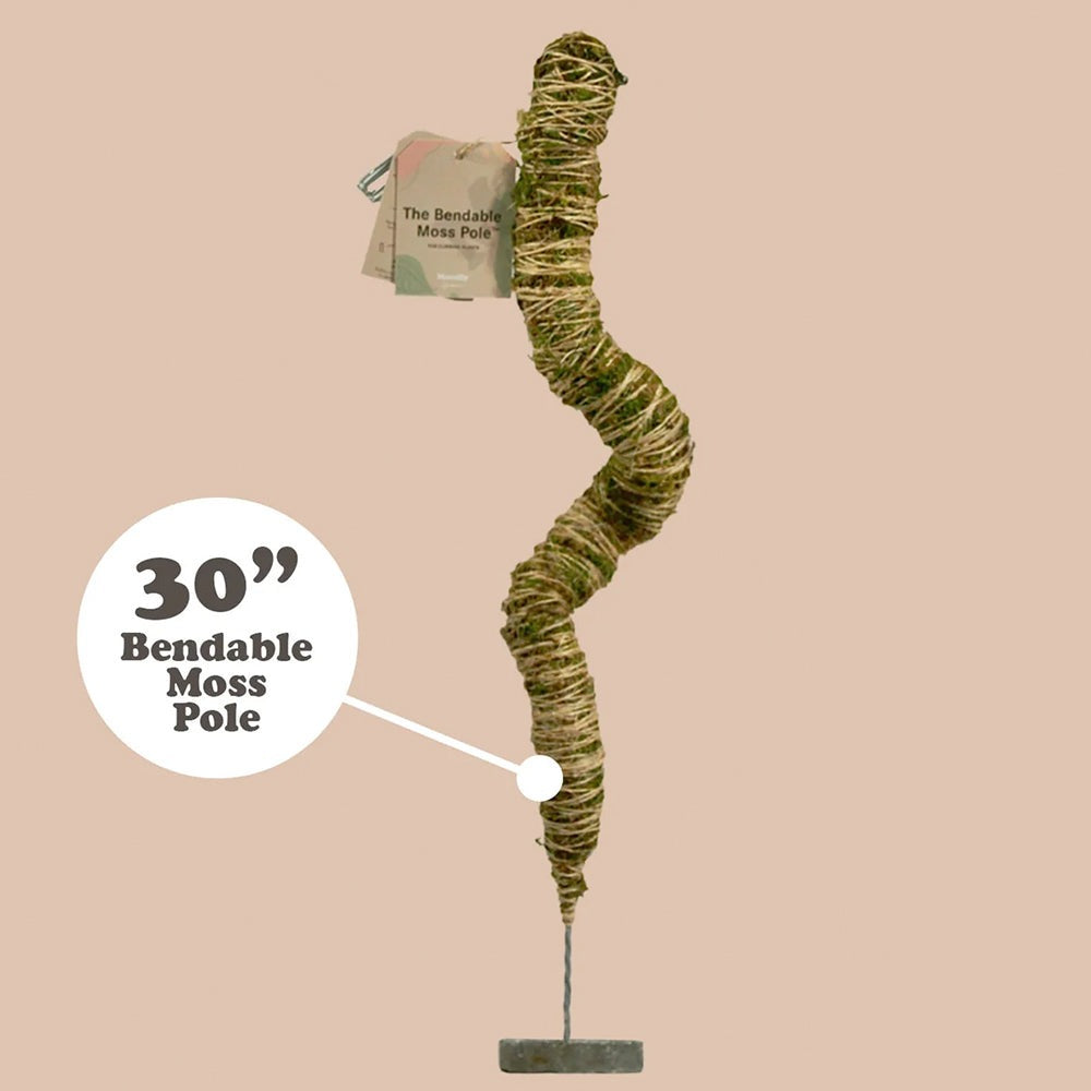 Mossify The Original Bendable Moss PoleTM