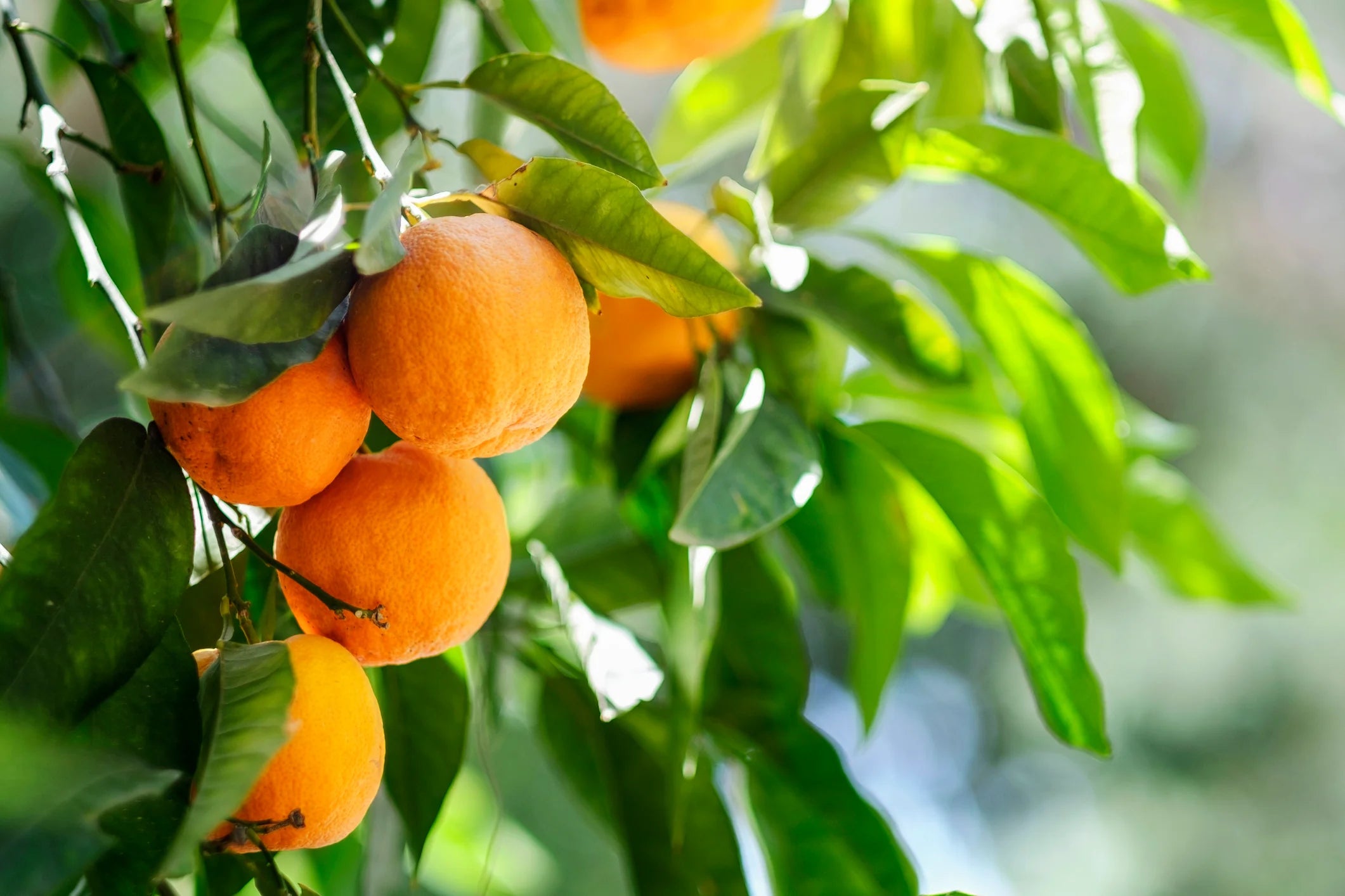 liuqs_job_55_home_03_a6b55fd23a.webp