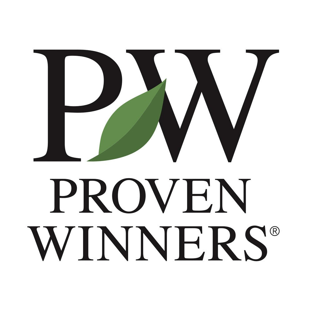Proven Winners® Taste of Heaven® Blackberry Shrub