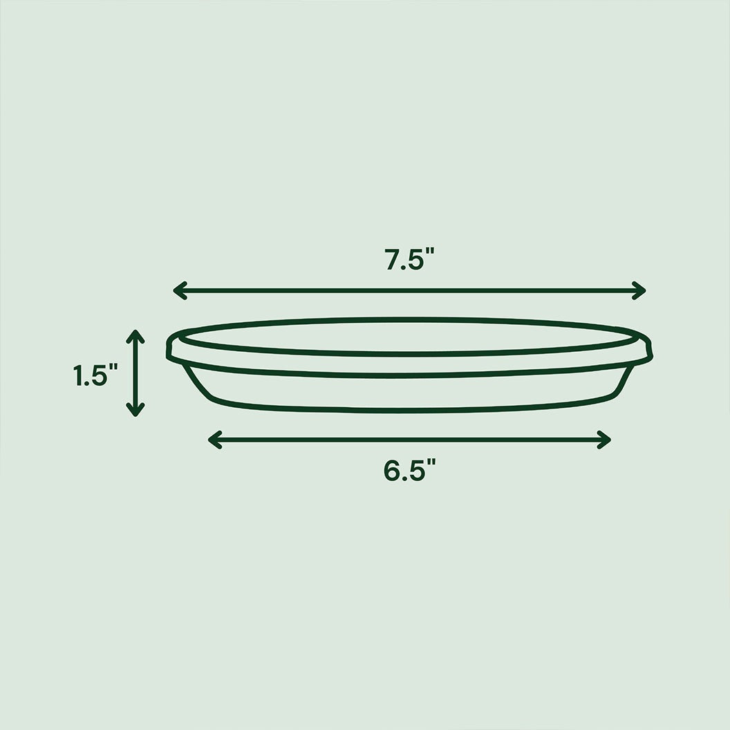 Bloem Terra Saucer in Black