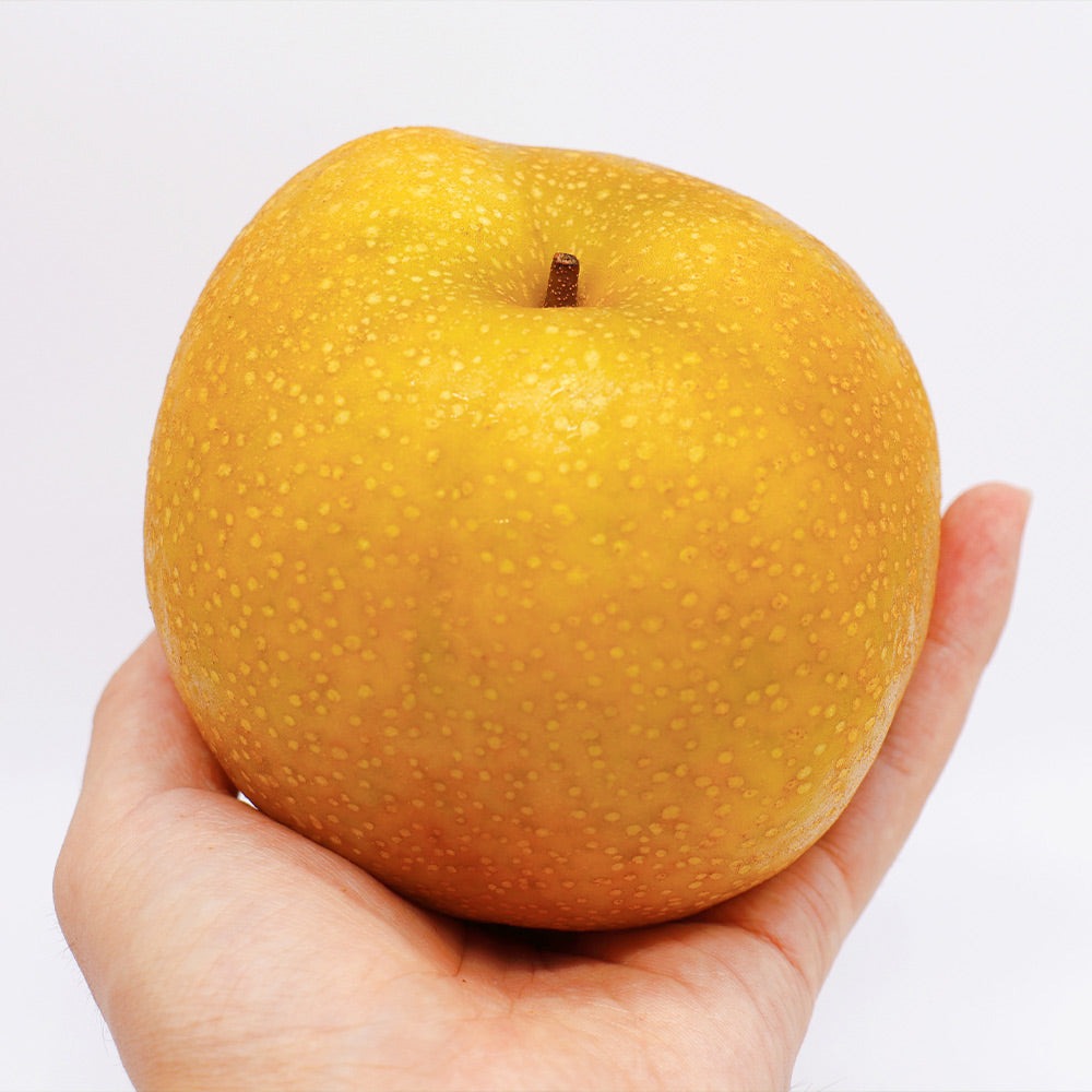 Hosui Asian Pear Tree