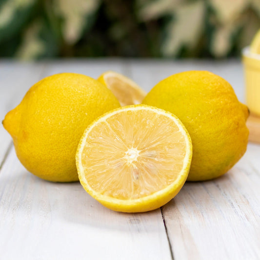 Lisbon Lemon Tree