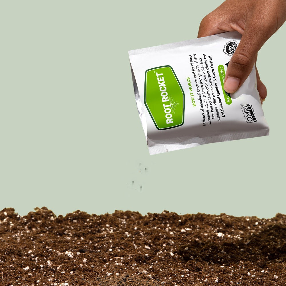 Root Rocket® Citrus Fertilizer