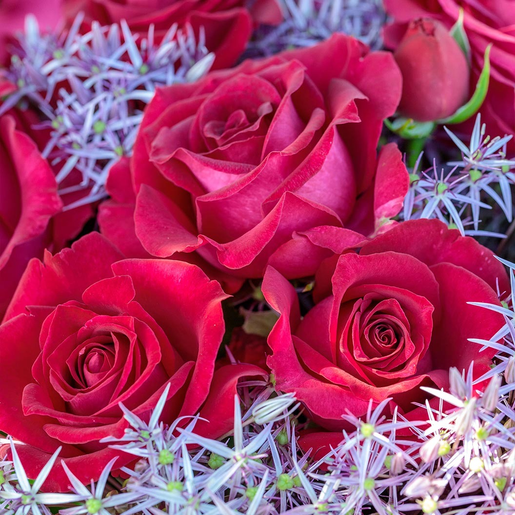 Bloomables® Stiletto Rose