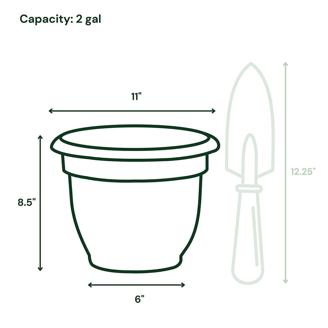 Bloem Ariana Self-Watering Planter in Living Green